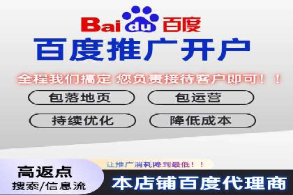 SEM推广优化策略：实战案例分析